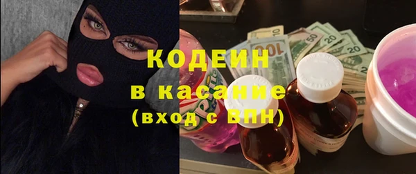 сатива Няндома