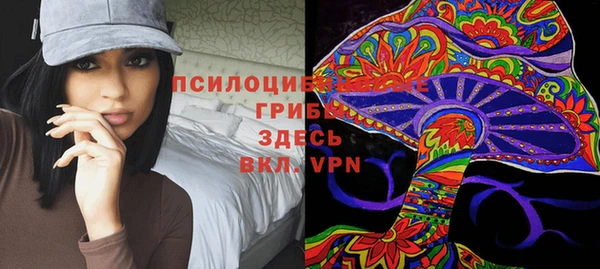 герыч Новодвинск