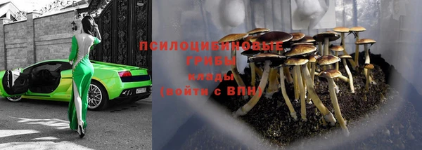 бутират Новозыбков